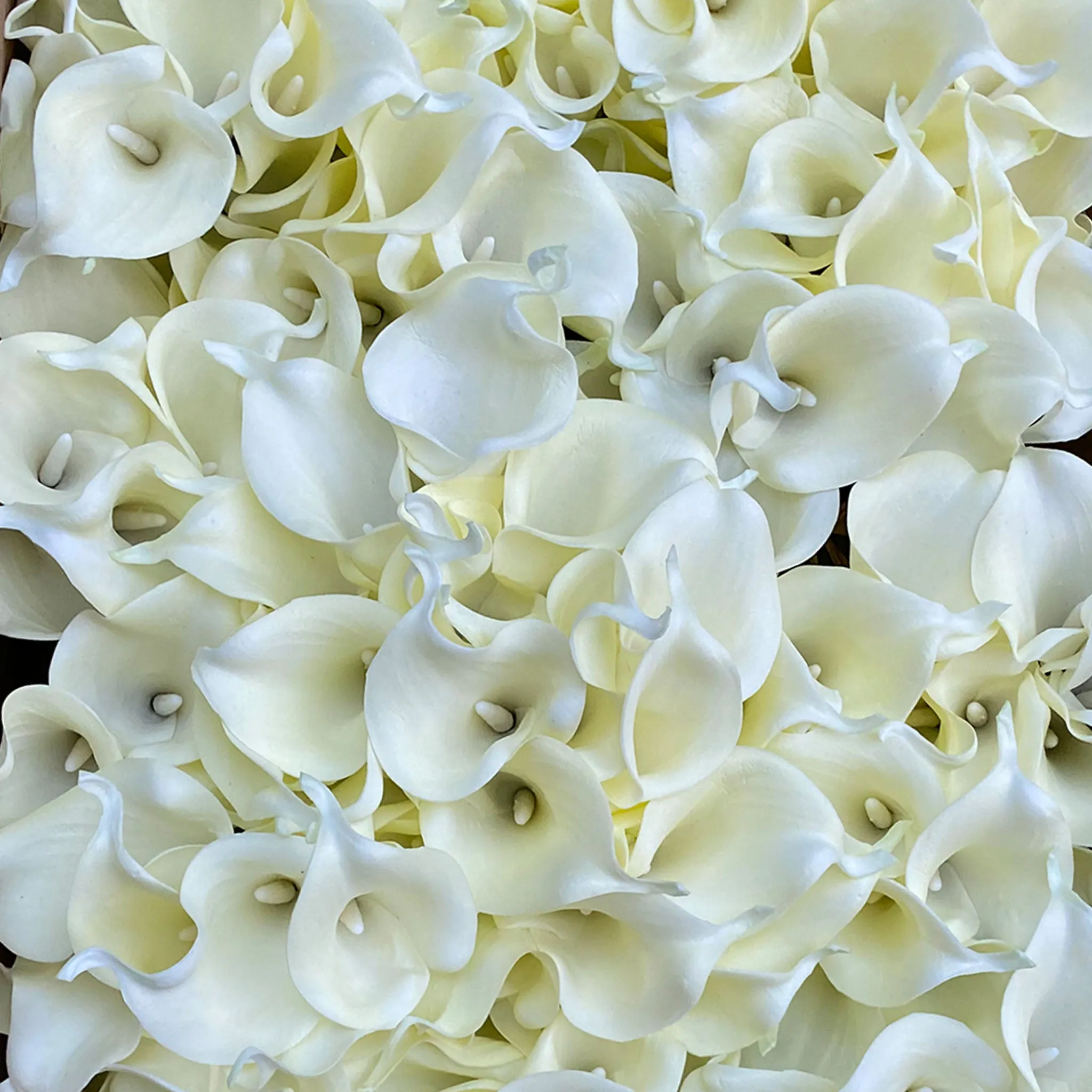 Calla Lily Bouquet Artificial Flowers 10pcs