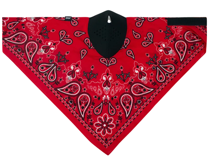 NeoDANNA Facemask 2 Styles
