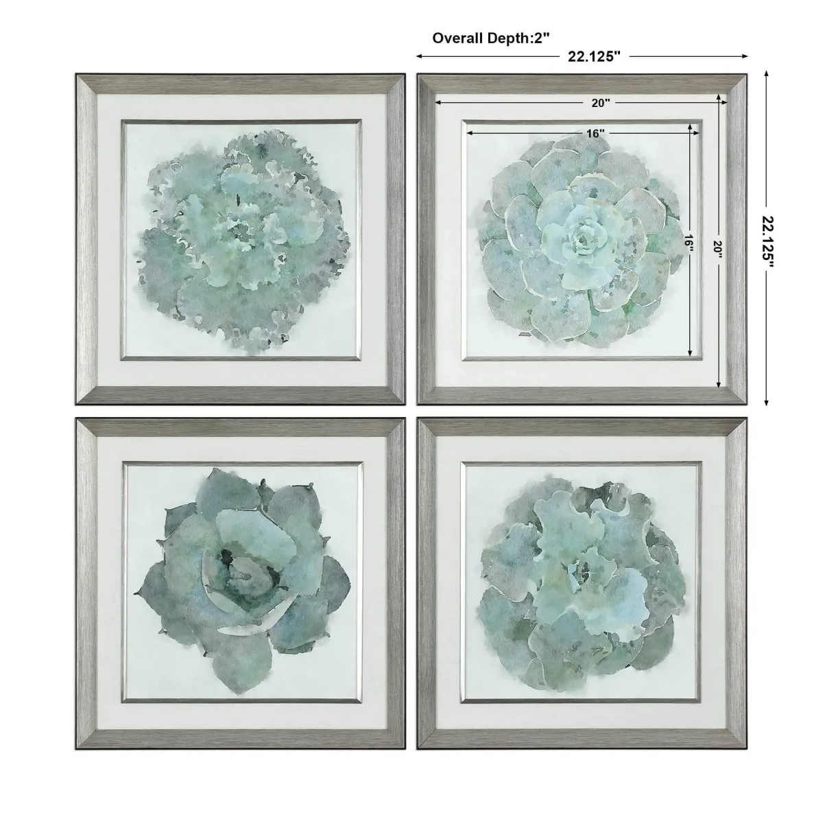 Succulent Framed Prints (S/2)